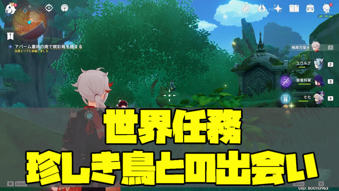 世界任務 珍しき鳥との出会い 瞑彩鳥の捕まえ方 原神攻略 アチーブ スメール魔物生態調査